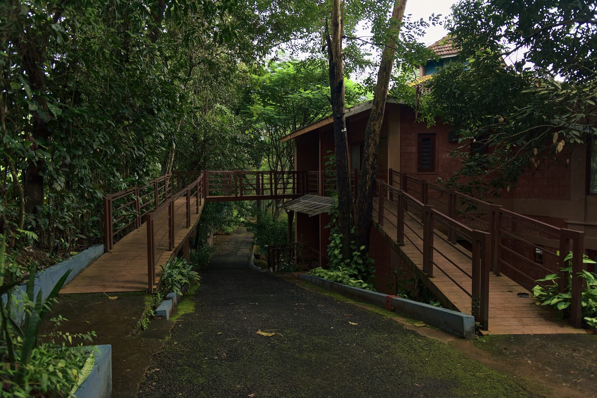About Us Vythiri Village Resort - Environmental