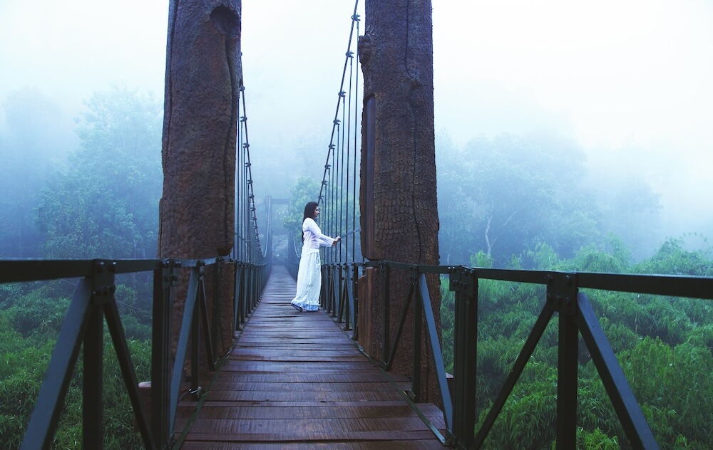 Experiences Hanging Bridge Walk