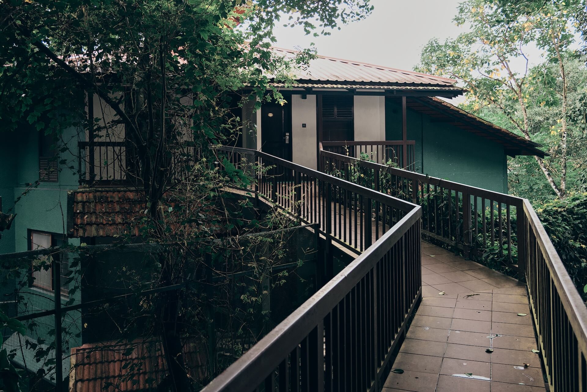 About Us Vythiri Village Resort Nature 1