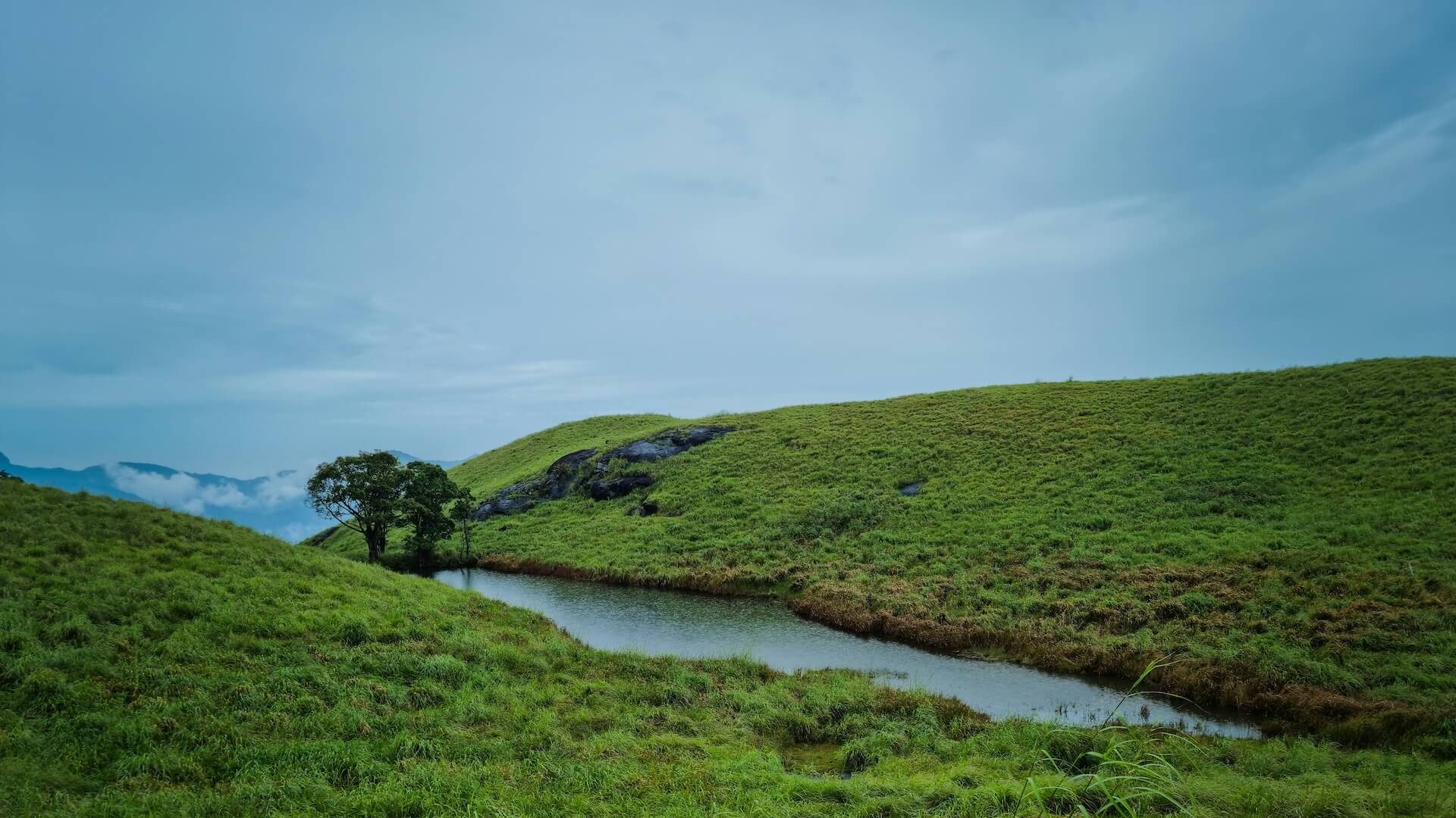Sightseeing Packages Chembra Peak - Wayanad