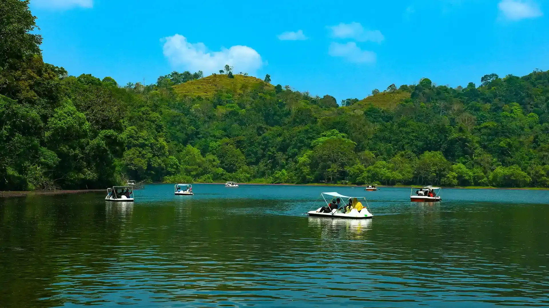 Sightseeing Packages Pookode Lake - Wayanad