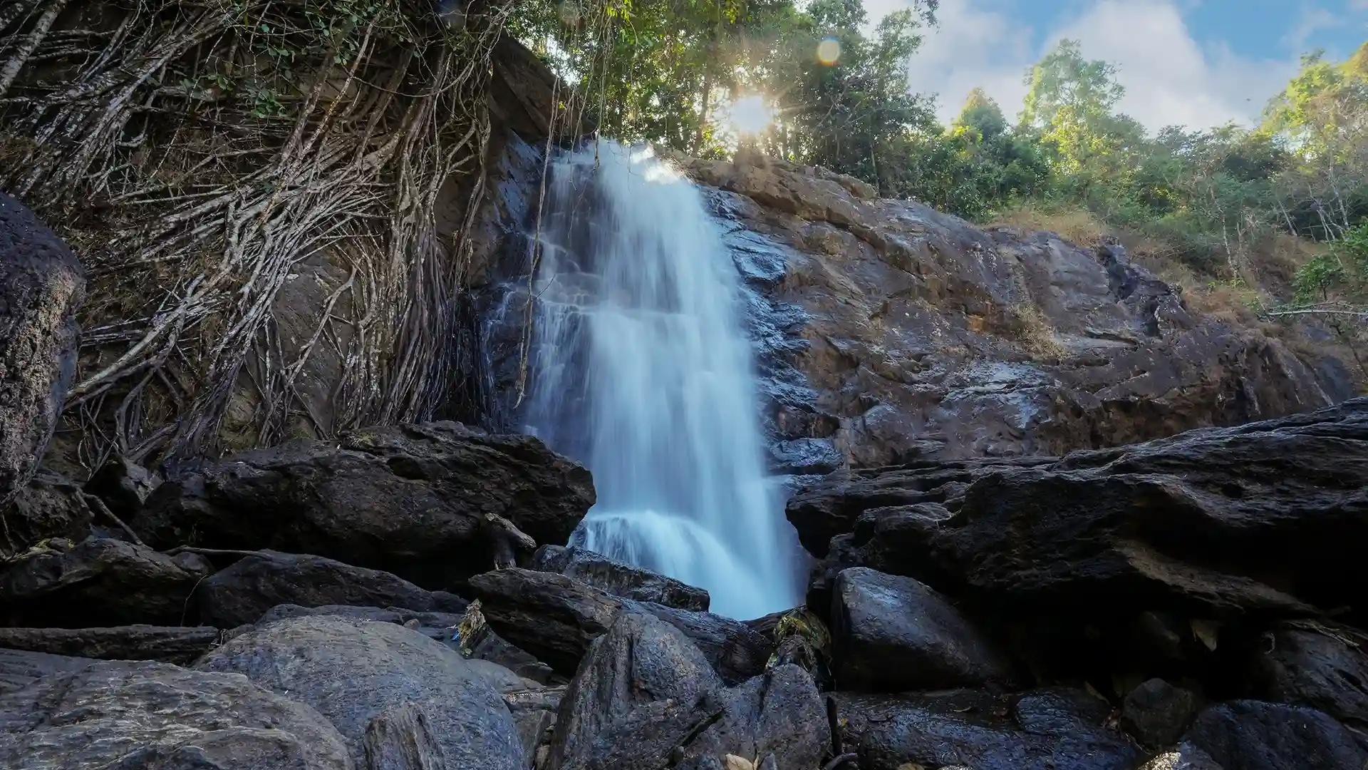 Sightseeing Packages Soochipara Water Falls - Wayanad