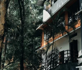 Nature View - Vythiri Village Resort